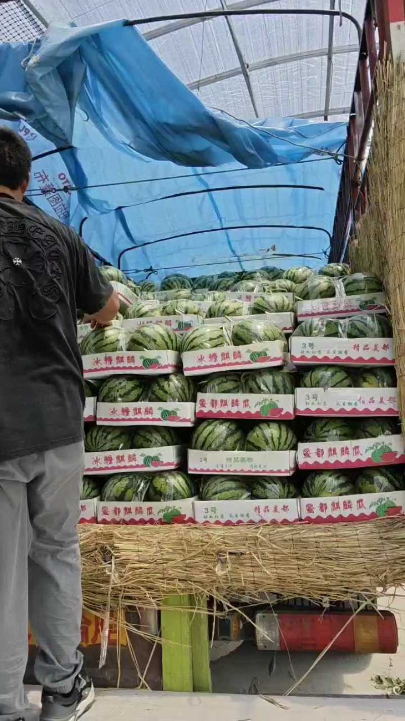 安徽宿州埇桥产区西瓜，产地直销，品质有保障，欢迎前来选购