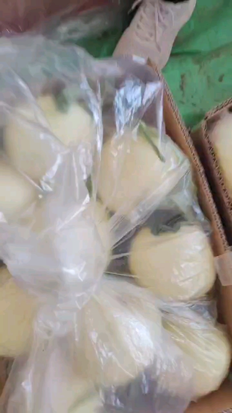 精品小甜瓜，白莎密万亩产地直销，大量现货供应