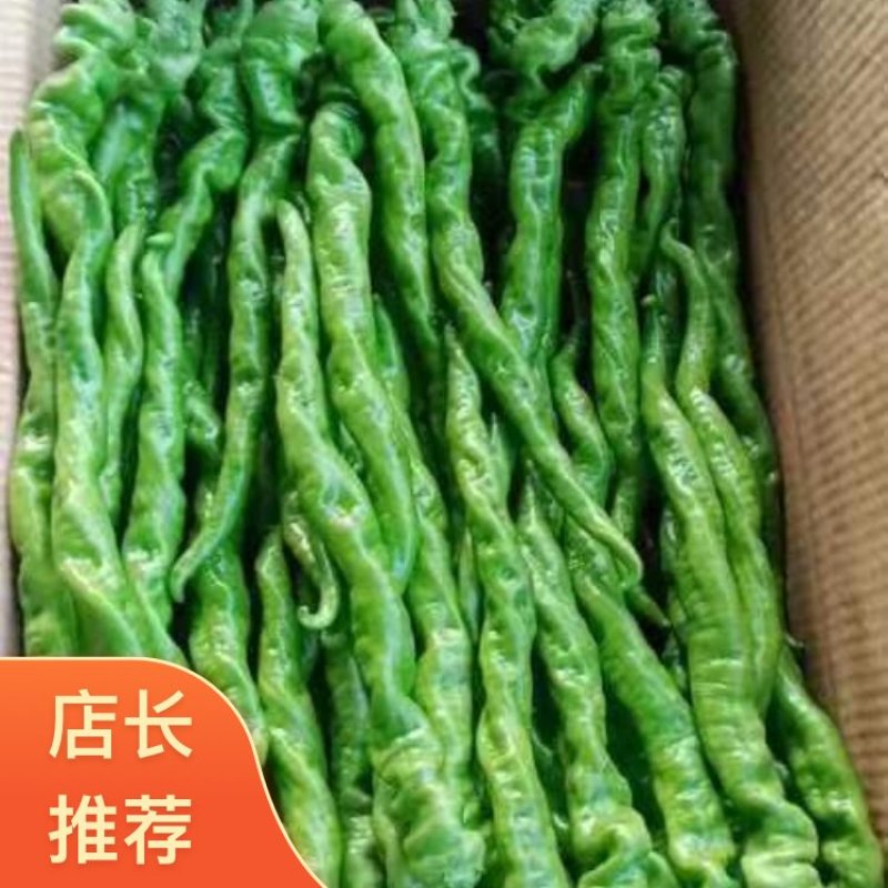 四川凉山西昌市精品辣椒螺丝椒货源充足欢迎致电咨询