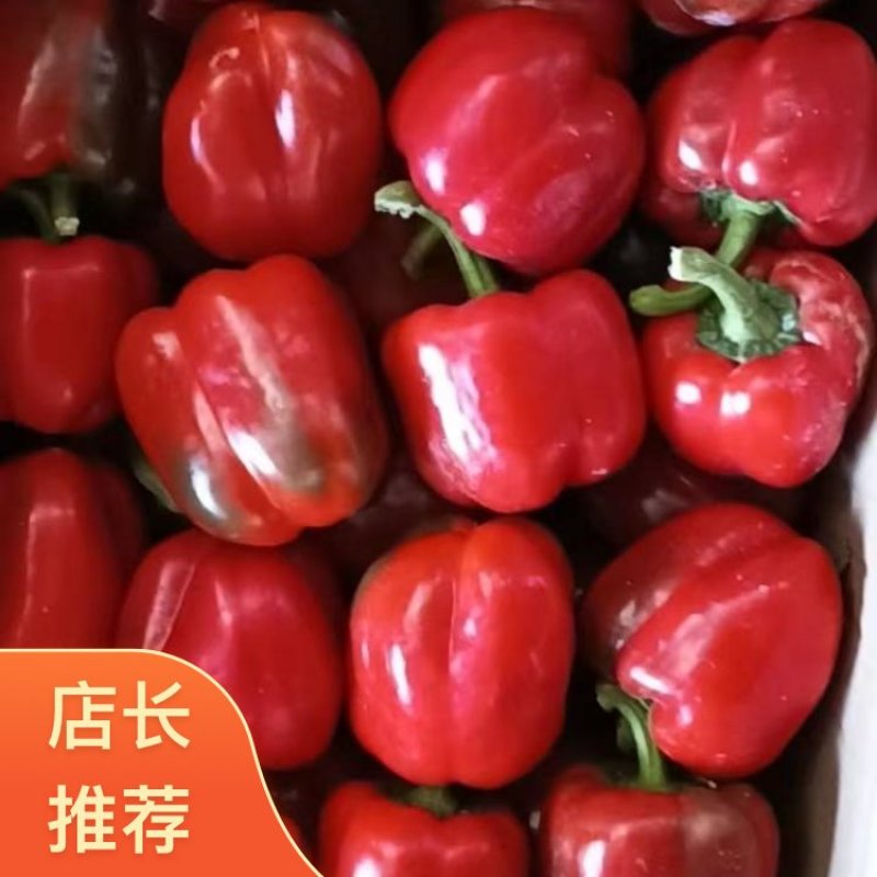 四川凉山西昌市精品辣椒方红椒量很大欢迎全国客商致电
