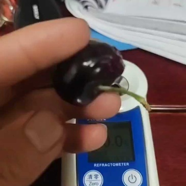 汉源车厘子红灯套袋黑珍珠可视频看货原产地直供一件代发