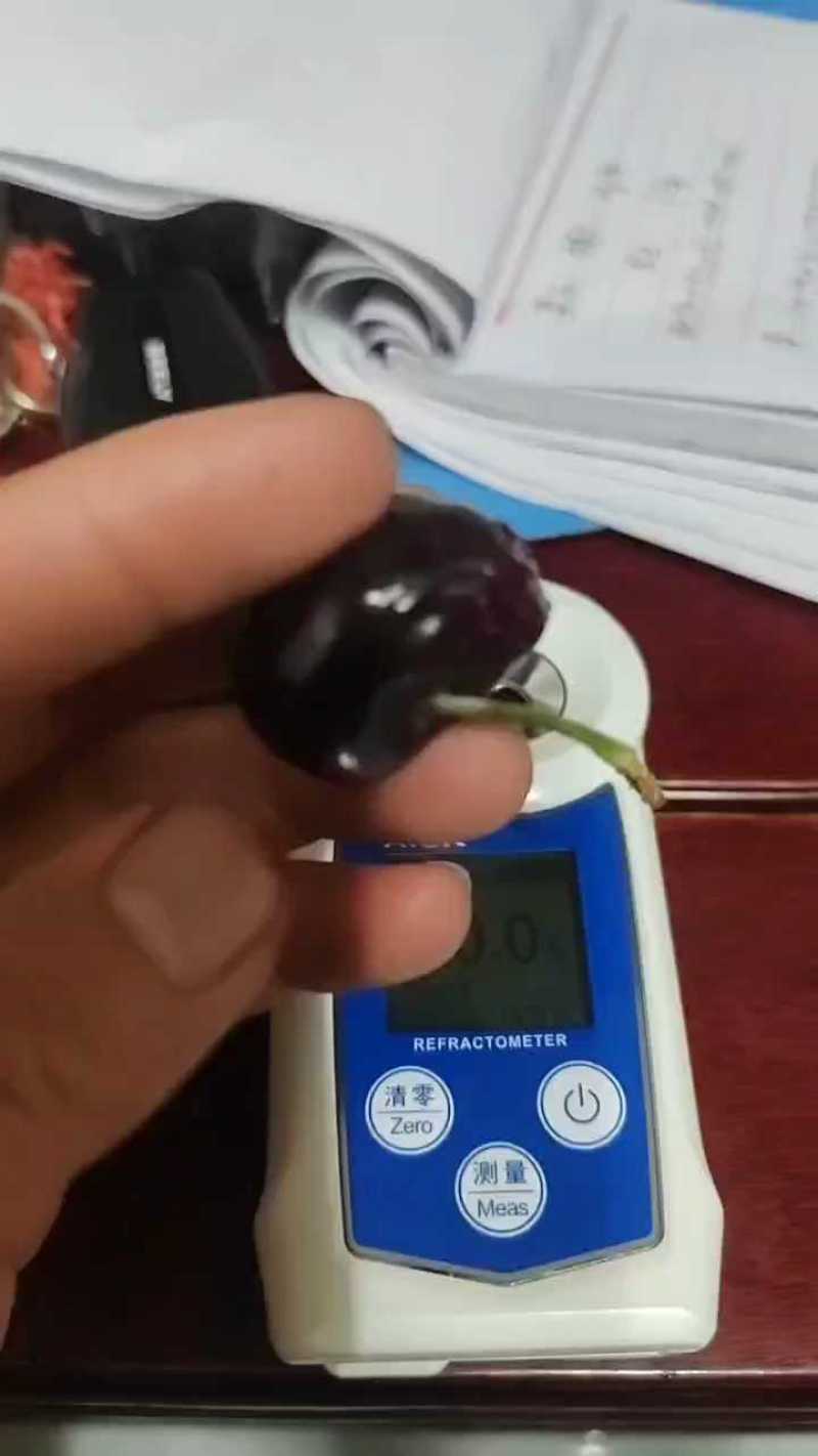 汉源车厘子红灯套袋黑珍珠可视频看货原产地直供一件代发