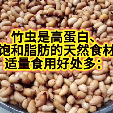 竹虫