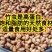 竹虫