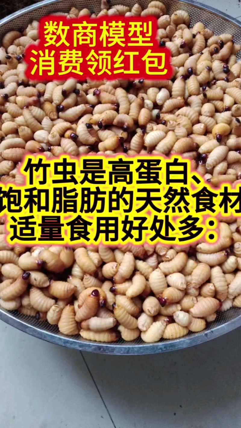 竹虫