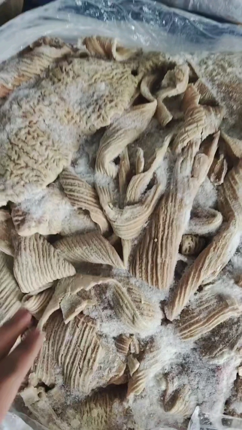 精品牛大肠，纯干货，开片去油。