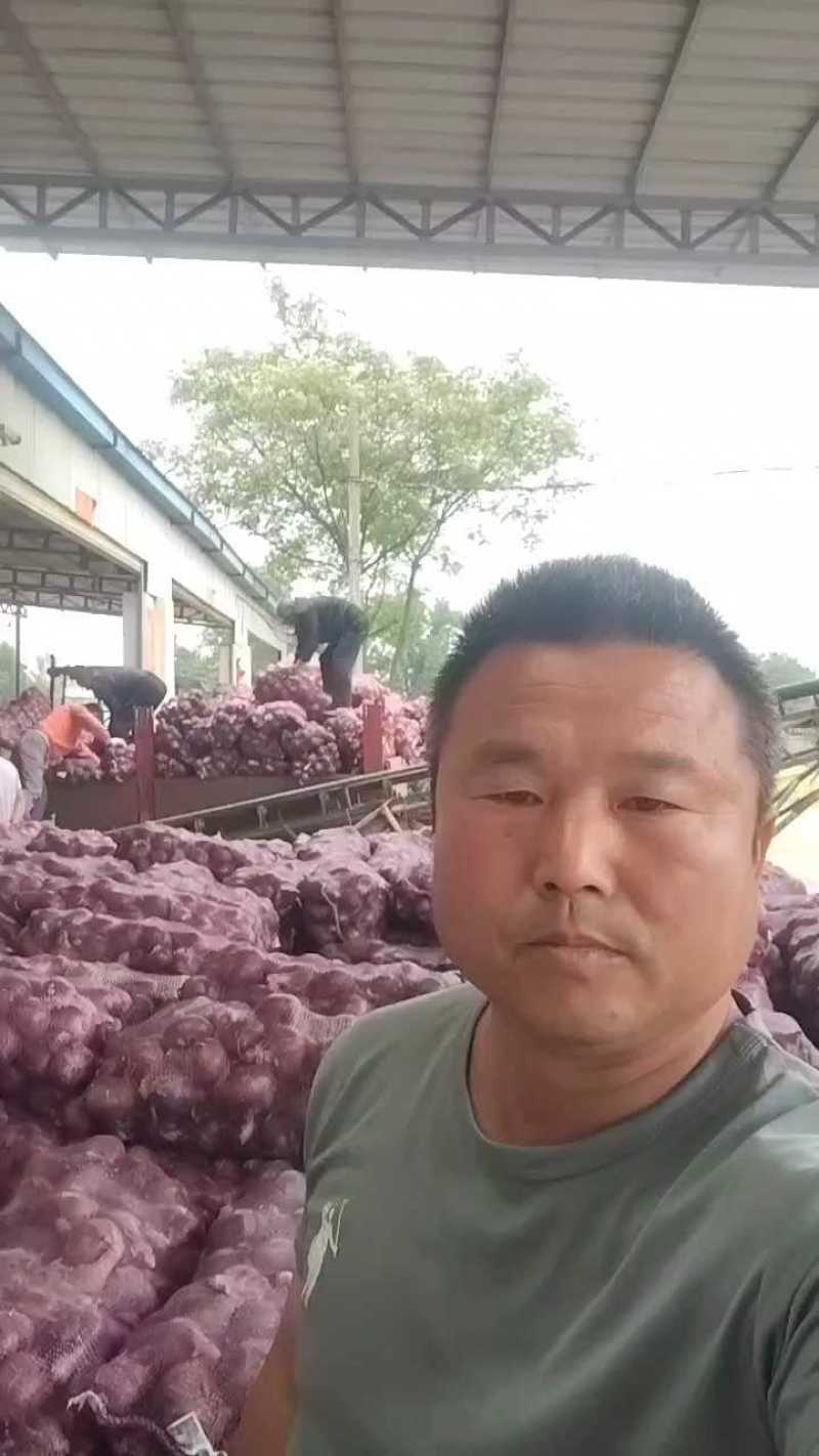 紫红洋葱，基地货，量大质优出货量稳定，欢迎各位老板来选购