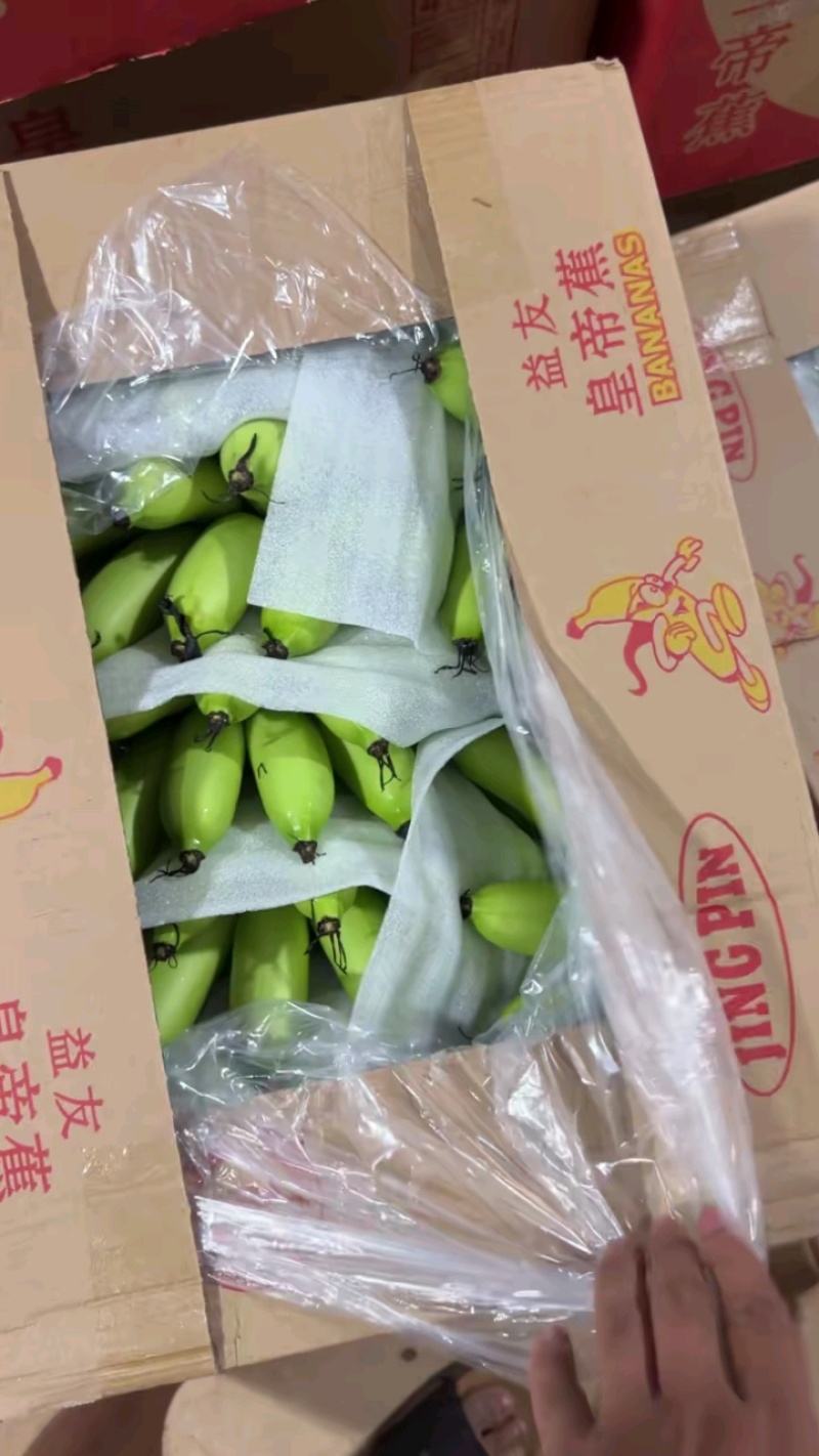 海南精品皇帝蕉，打包发货中