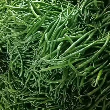 青线椒，皱皮辣椒