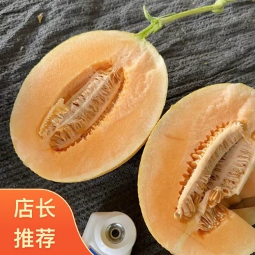 山东济南章丘区黄金蜜25哈密瓜大量上市专业代办品质有保障