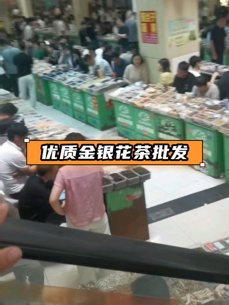 品质金银花茶金银花茶基地批发直供山银花茶散装