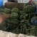 麒麟西瓜无籽西瓜有籽西瓜大量供应品质保证