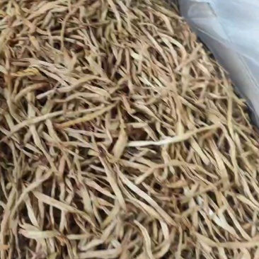 精品黄花菜，干度好，颜色好，大直条，无硫，纯原货