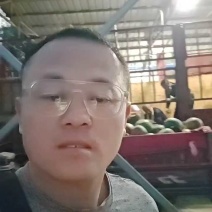 南乐甜王西瓜，5毛起，两车9米6装货中！