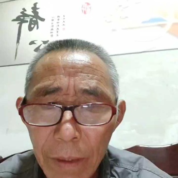 丰园红杏