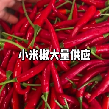小米椒