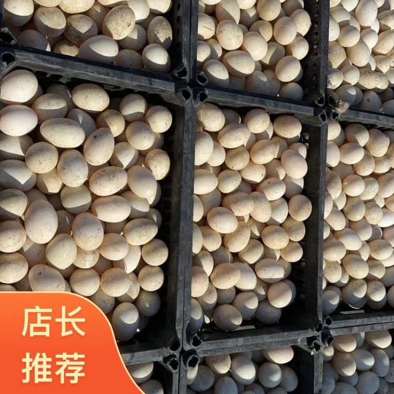 鸭蛋，白皮鸭蛋，裂纹鸭蛋/经文鸭蛋/绿皮裂纹蛋