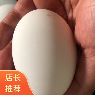 白皮鸭蛋80-100克，直发双黄鸭蛋/裂纹蛋/头
