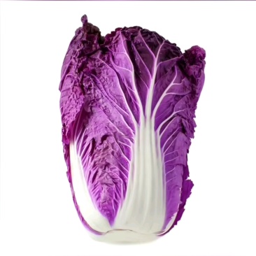 原装紫白菜种子紫裔白菜种子口感鲜嫩，商品性好纯度高
