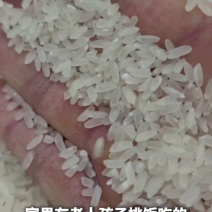 五常稻花香2号香米基地核心产区自产自销诚信经营