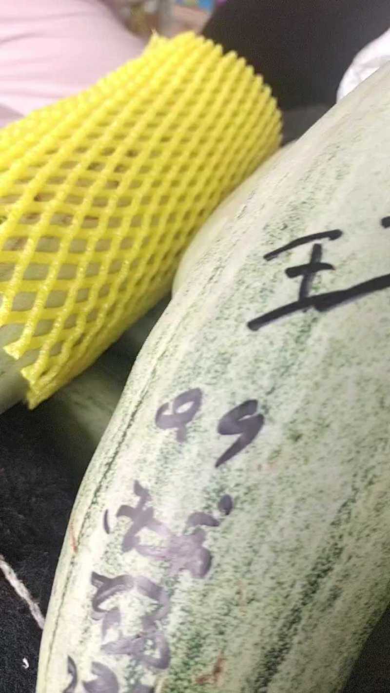 【推荐】羊角蜜甜瓜博洋61甜瓜，绿宝供应市场商超一手货源