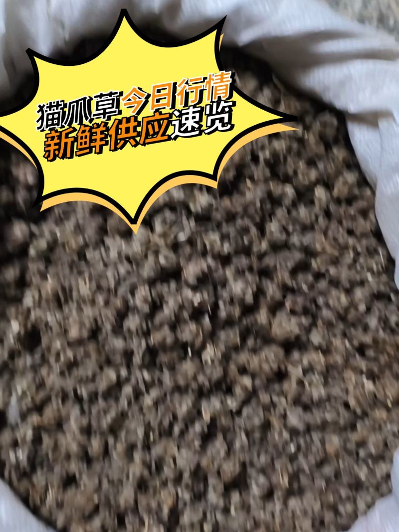 猫爪草