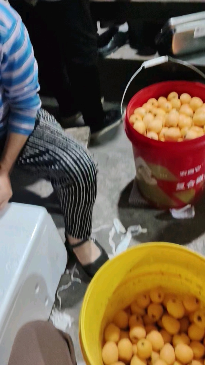 汉源大五星枇杷，产地直供，正在抢购中！