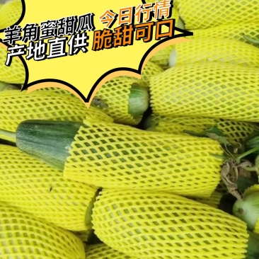 羊角蜜产地供应。货源充足，口感脆甜。全国代发。
