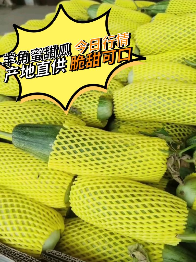 羊角蜜产地供应。货源充足，口感脆甜。全国代发。
