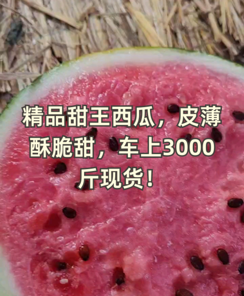 精品甜王西瓜，皮薄酥脆甜，车上3000斤现货！