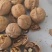 核桃新疆薄皮核桃新疆核桃供应皮薄价格低