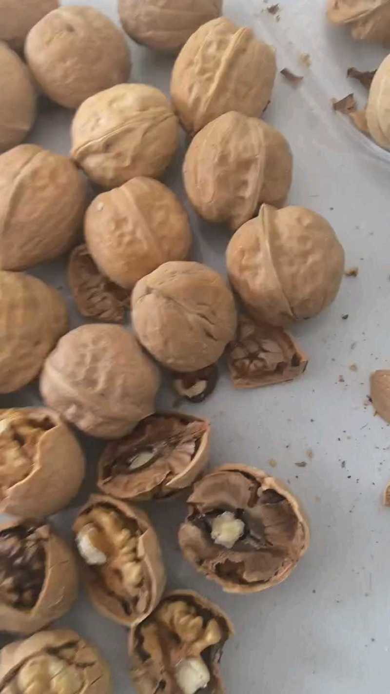 核桃新疆薄皮核桃新疆核桃供应皮薄价格低