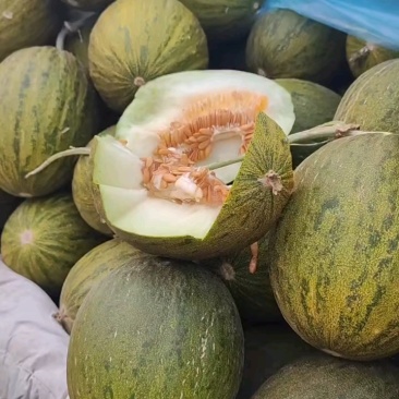 【热卖推荐】山东莘县精品羊角蜜甜瓜大量有货欢迎订购