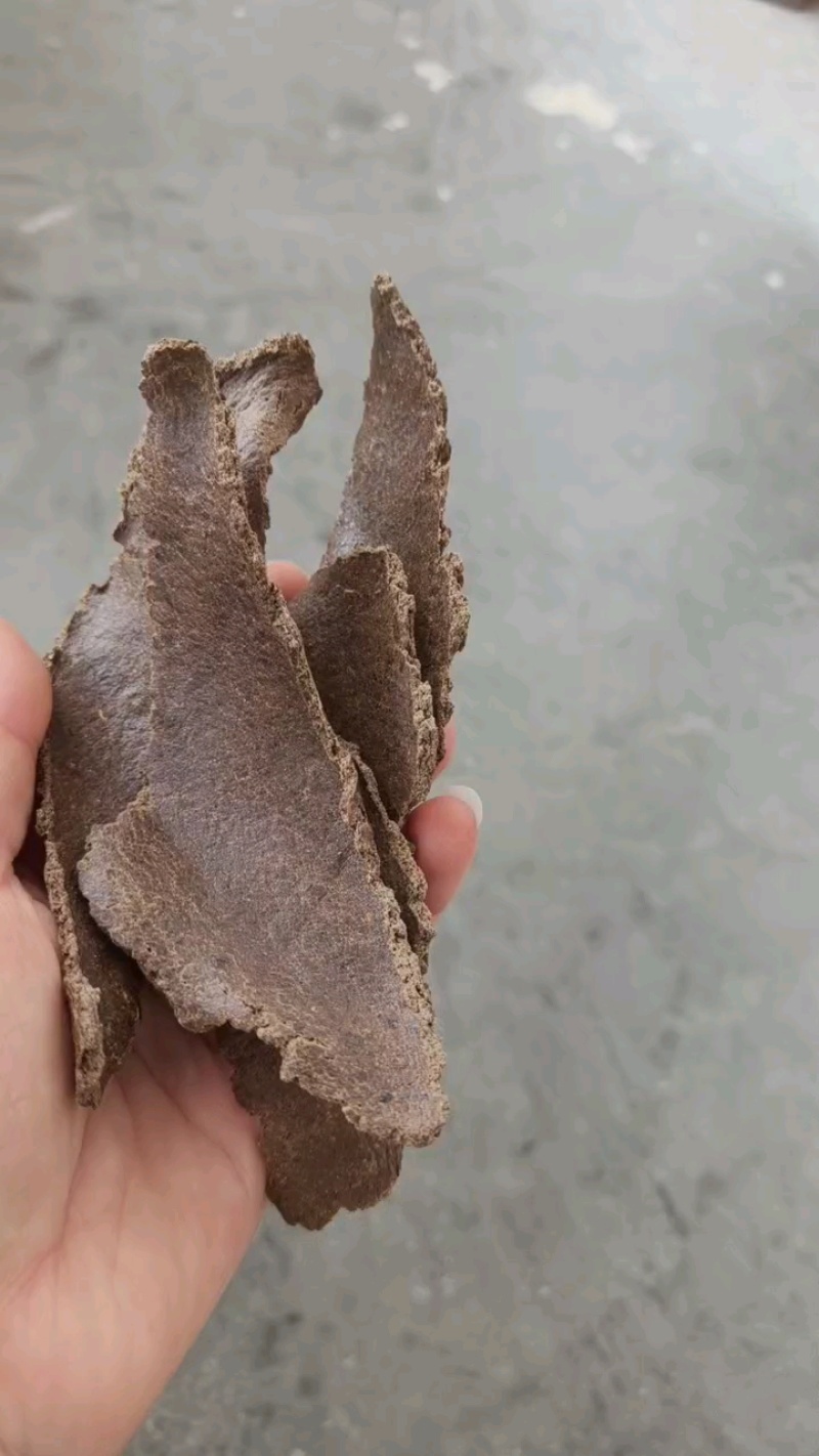 生榨花生饼，油厂直发，量大的可以优惠