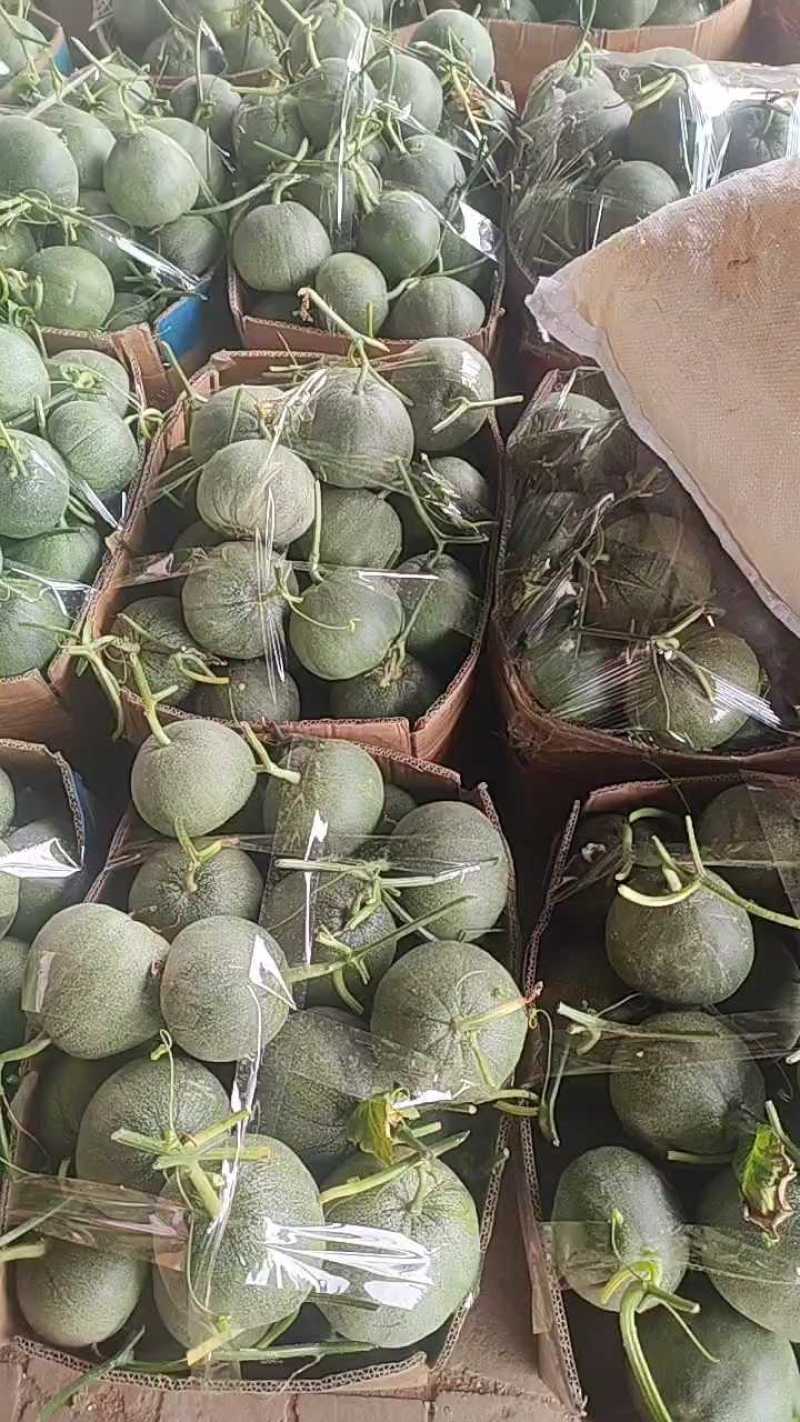 博洋系列:星甜二四，绿宝，花蕾脆甜可口产地现摘欢迎选购！