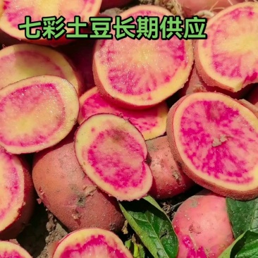云南省大理州剑川县七彩土豆