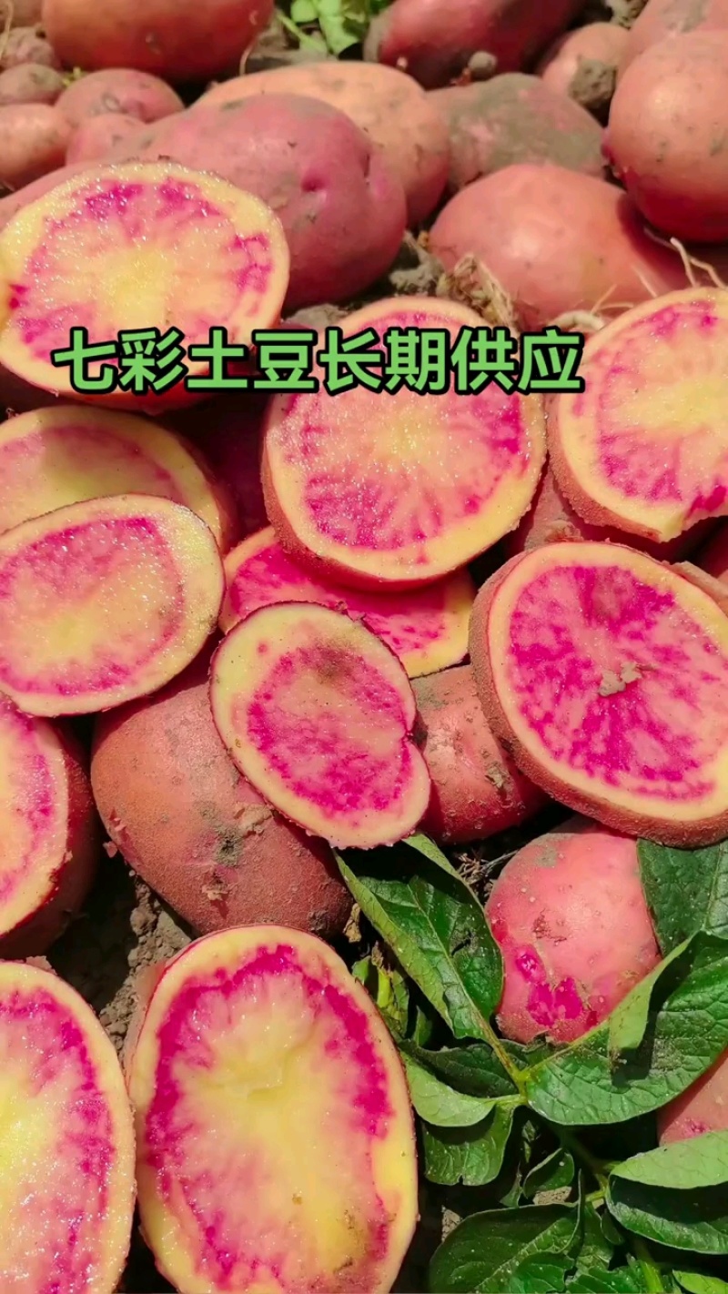 云南省大理州剑川县七彩土豆