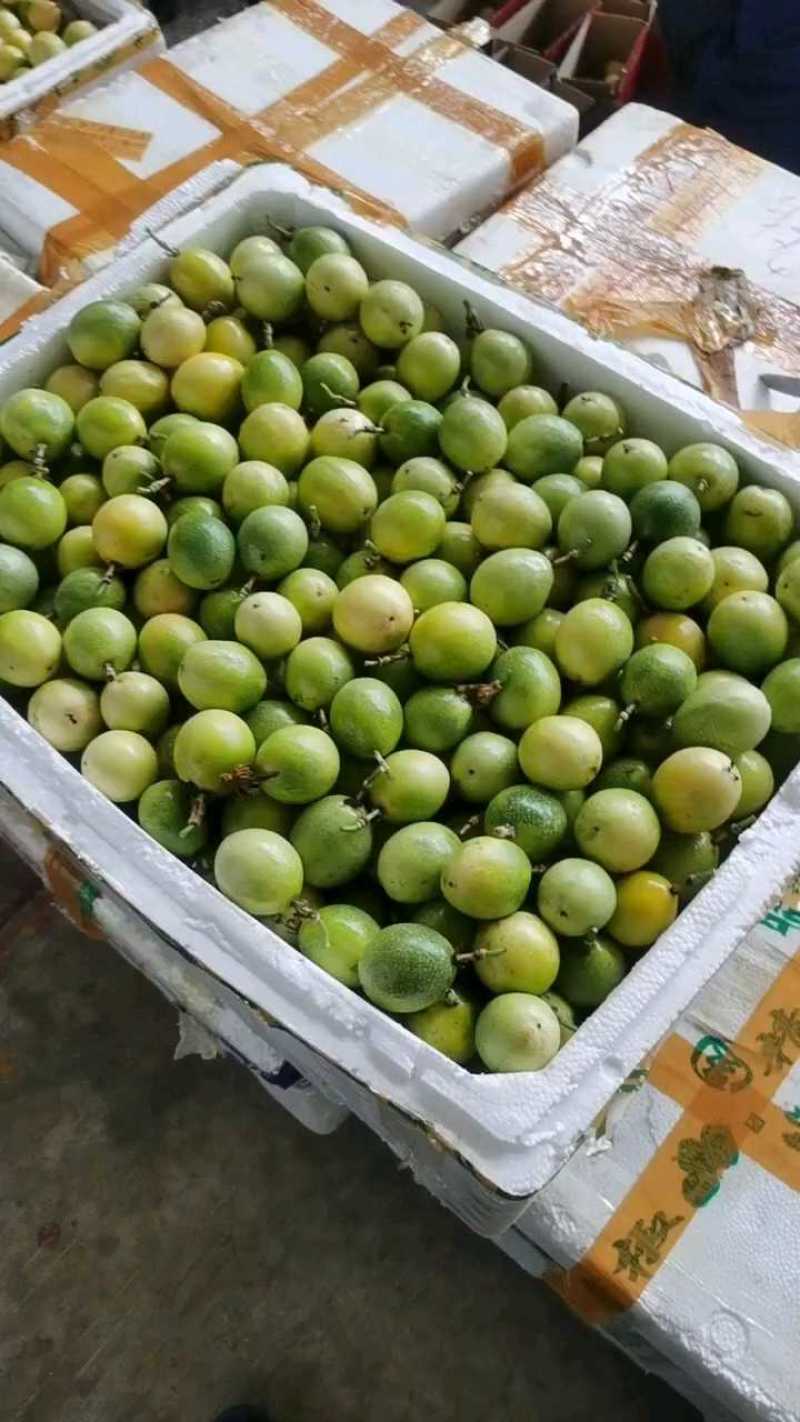 （钦蜜九号）黄金百香果，产地直发一件代发，大量现货