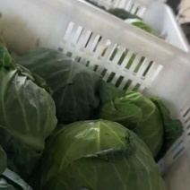 甘蓝，大量供应自家基地甘蓝包菜！货源充足品质保证价格优惠