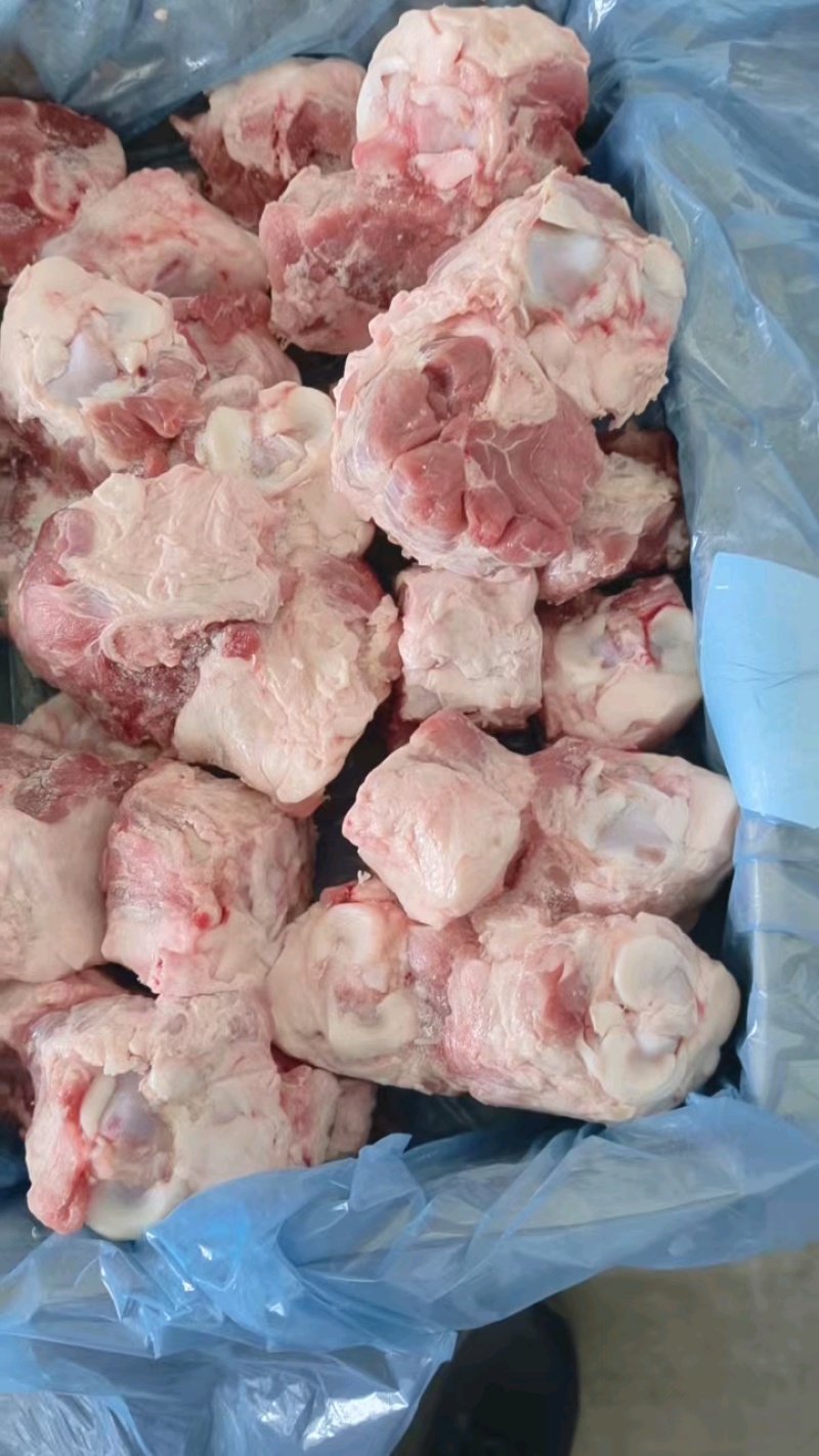 实拍多肉后肘骨，肉多新鲜带骨髓，一箱10公斤超便宜。