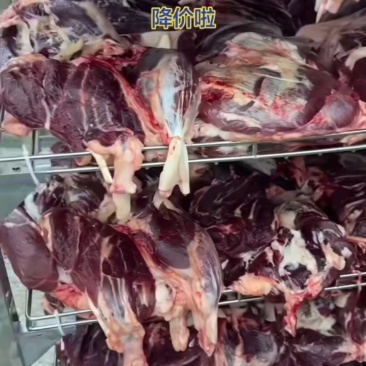 牛腱子纯干精修去油，批发价20多一斤！