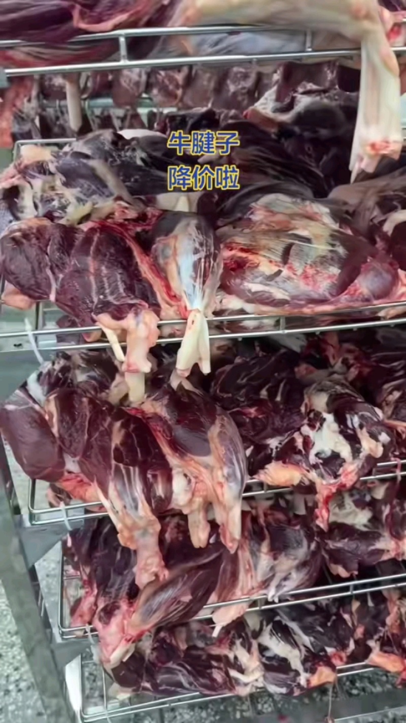 牛腱子纯干精修去油，批发价20多一斤！