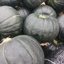 广西贝贝南瓜