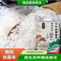广西贺州丝苗米新米产地直发10斤/袋真空包装可定制