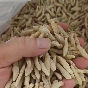 麦冬正品厂家直销现货秒发质优价廉
