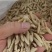 麦冬正品厂家直销现货秒发质优价廉