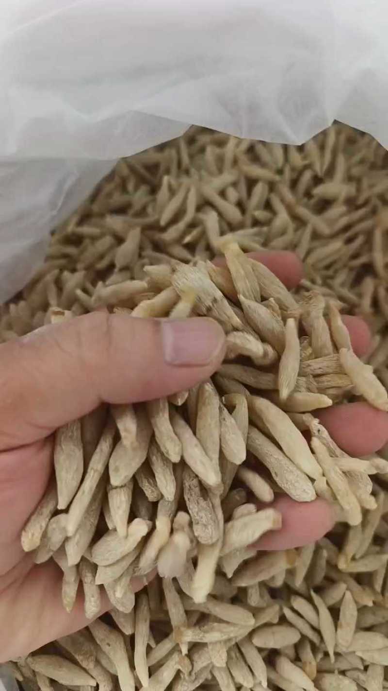 麦冬正品厂家直销现货秒发质优价廉