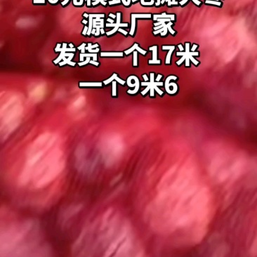 电商地摊抖音直播带货新疆和田大枣袋装供应链支持代发