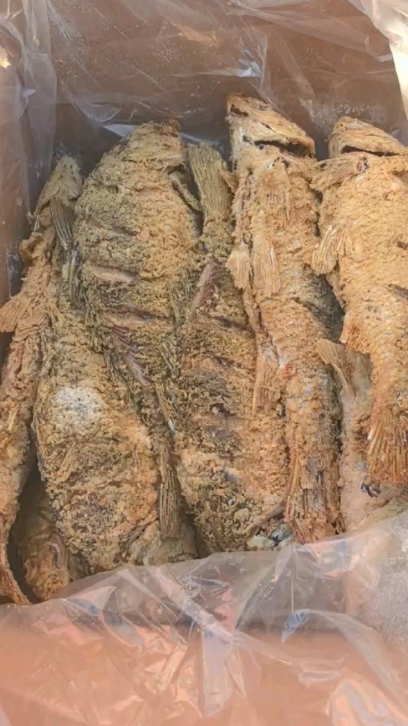 油炸大鲤鱼开箱实拍，个头均匀，单个二斤左右。