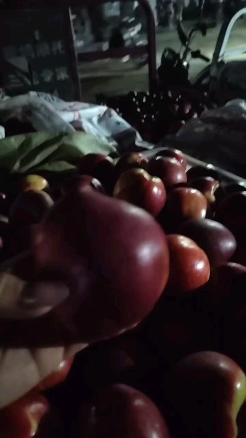山东油桃露天油桃大量上市黄皮黄心油桃种植基地一手货源